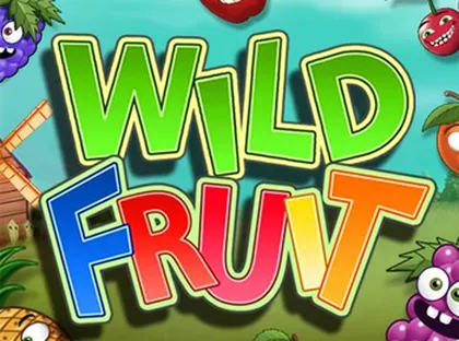 Playfortuna.com