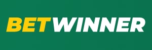 Werder bremen x borussia